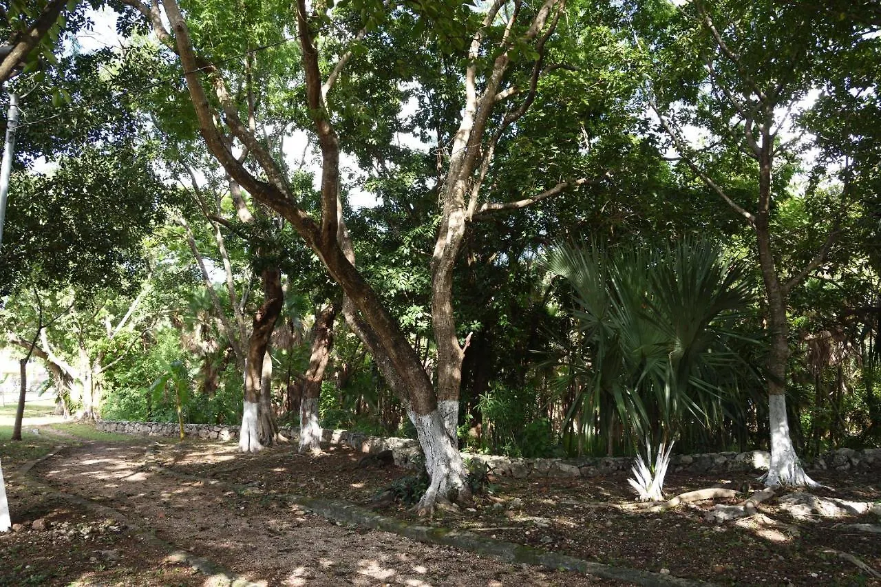 Apartamento Aquamarina, Ideal Trabajo/Vacaciones Cancún 0*,