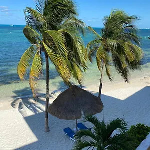  Apartamento Tropical